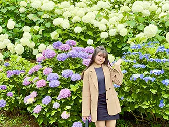 アジサイの花と外国人実習生