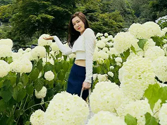アジサイの花と外国人実習生